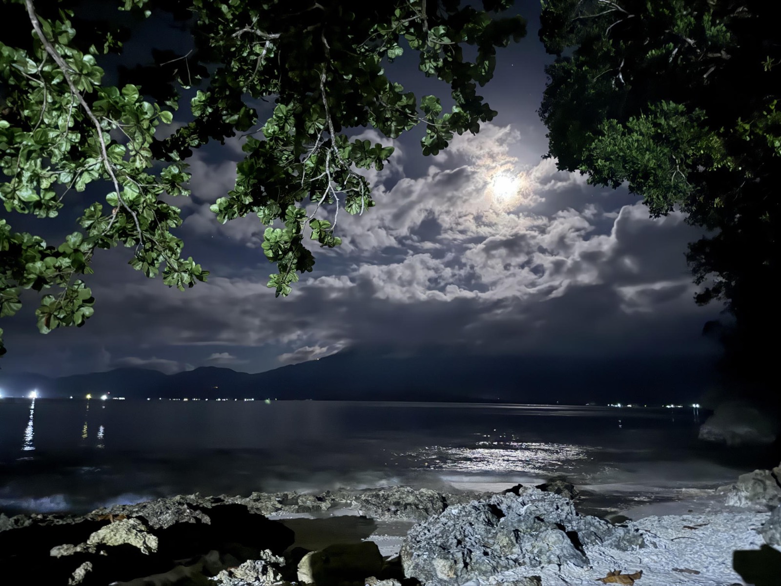Moonlit shoreline