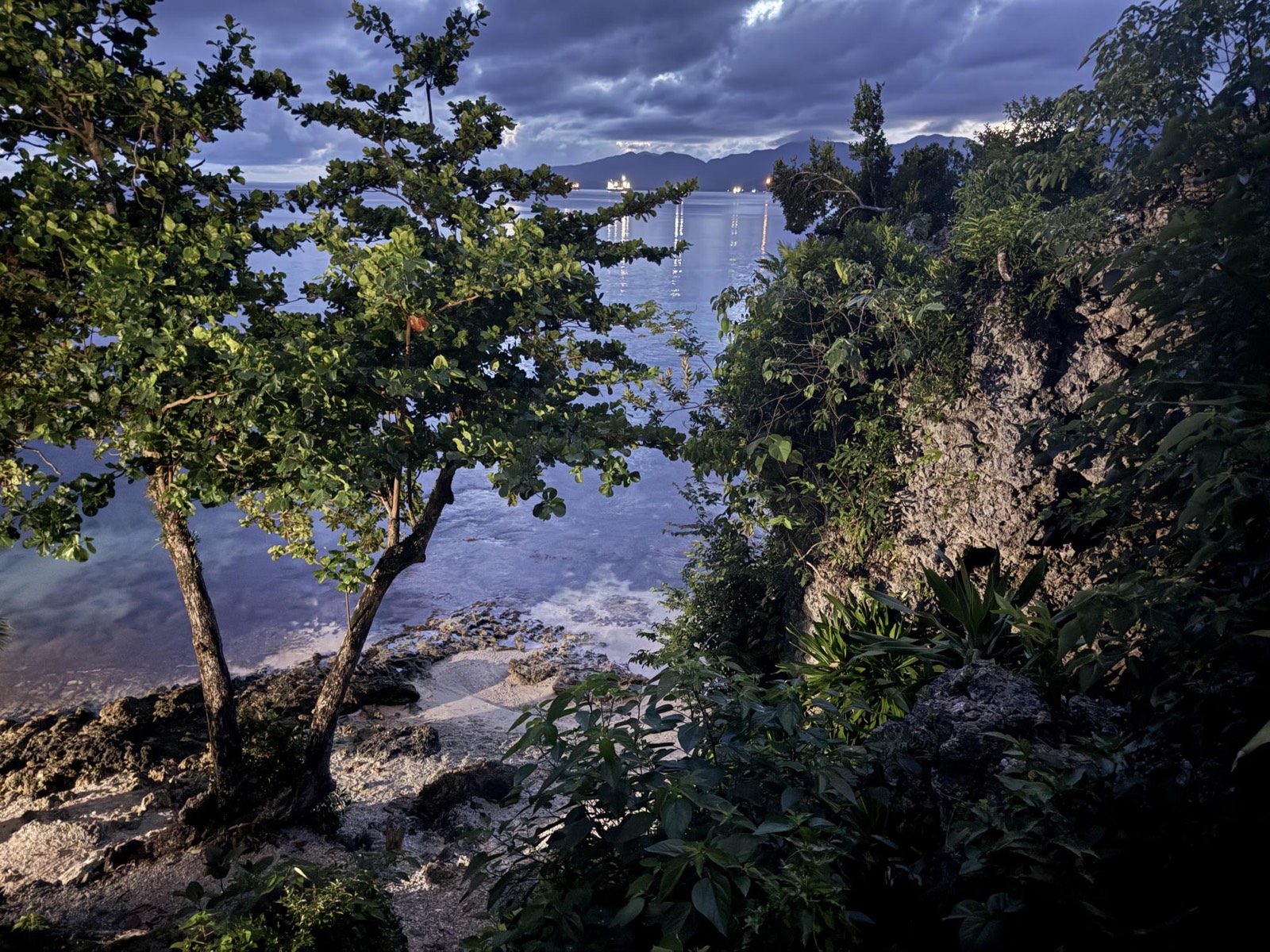 Twilight view through the trees