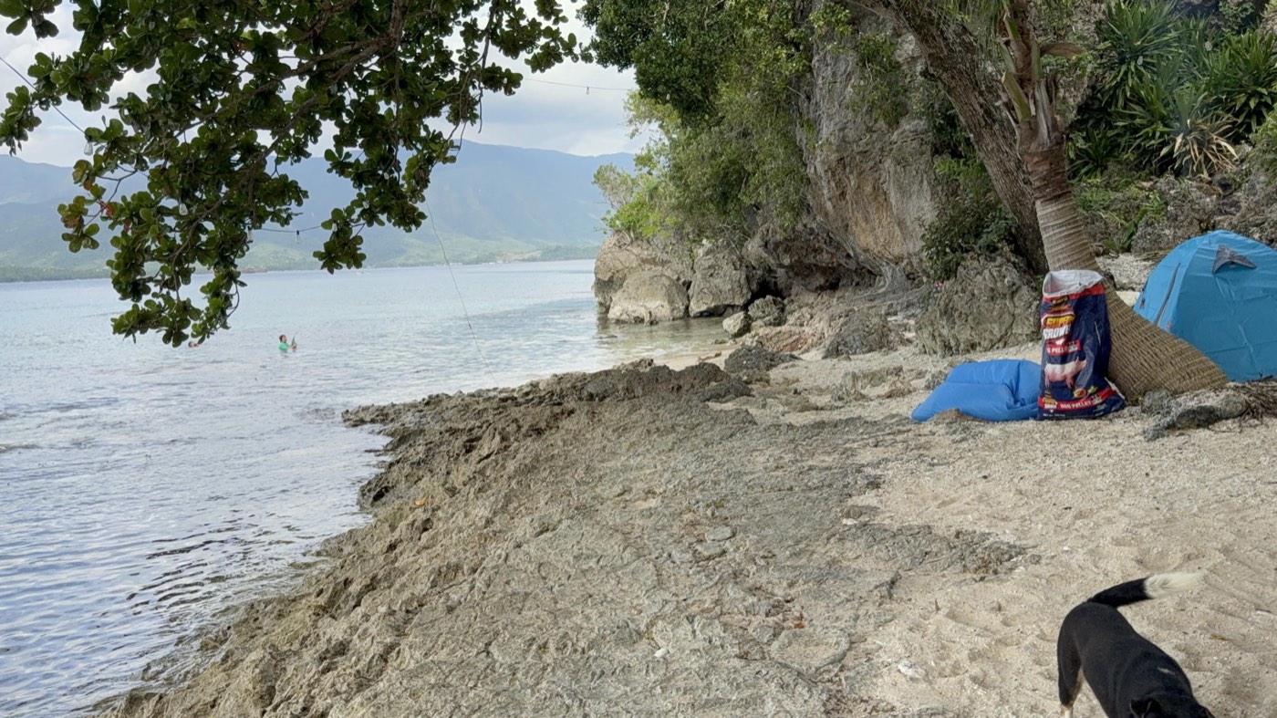 Tent Rental